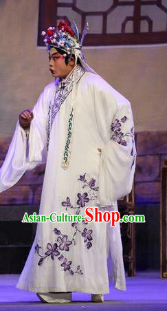 Chinese Guangdong Opera Wusheng Apparels Costumes and Headpieces Traditional Cantonese Opera Prince Wei Zhicheng Garment Martial Male Clothing