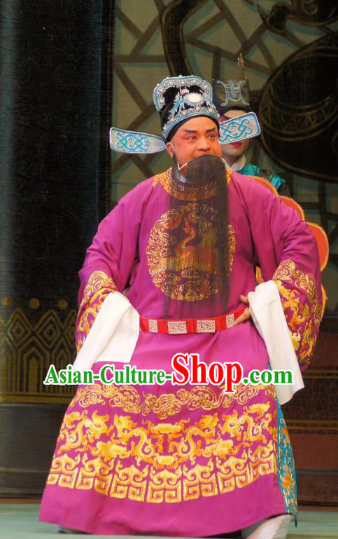 Emperor and the Village Girl Chinese Guangdong Opera Laosheng Apparels Costumes and Headpieces Traditional Cantonese Opera Official Cao Zibin Garment Elderly Male Clothing