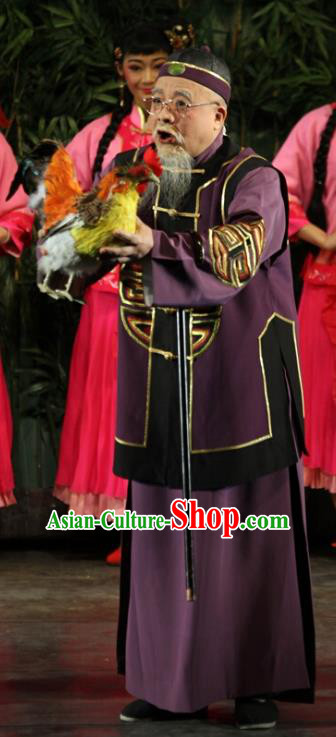 The Watchtower Chinese Guangdong Opera Elderly Male Apparels Costumes and Headpieces Traditional Cantonese Opera Landlord Garment Clothing