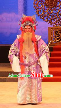 Yu Huang Deng Dian Chinese Guangdong Opera Laosheng Apparels Costumes and Headwear Traditional Cantonese Opera Elderly Male Garment Immortal Clothing