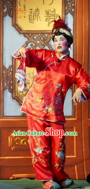 Chinese Cantonese Opera Woman Matchmaker Garment The Mad Monk by the Sea Costumes and Headdress Traditional Guangdong Opera Elderly Female Apparels Red Dress