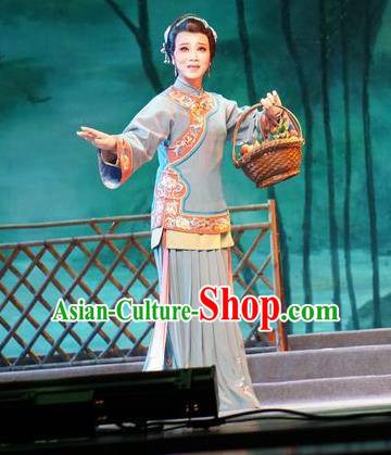 Chinese Cantonese Opera Country Woman Garment Zhuang Yuan Lin Zhaotang Costumes and Headdress Traditional Guangdong Opera Young Female Apparels Mistress Dress