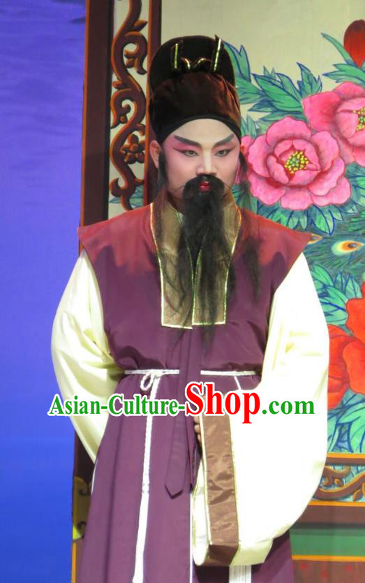 The Strange Stories Chinese Guangdong Opera Adviser Apparels Costumes and Headwear Traditional Cantonese Opera Laosheng Garment Elderly Male Clothing