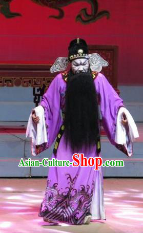 The Strange Stories Chinese Guangdong Opera Treacherous Official Pang Jijian Apparels Costumes and Headwear Traditional Cantonese Opera Jing Garment Elderly Male Clothing