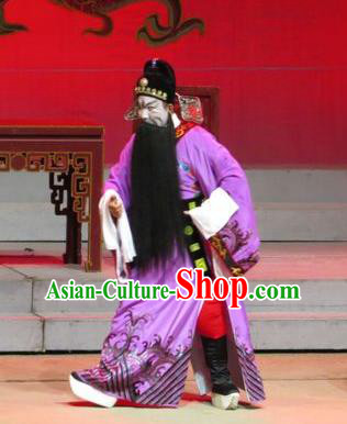 The Strange Stories Chinese Guangdong Opera Treacherous Official Pang Jijian Apparels Costumes and Headwear Traditional Cantonese Opera Jing Garment Elderly Male Clothing