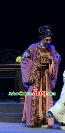 Zi Yun Chinese Guangdong Opera Rich Male Apparels Costumes and Headwear Traditional Cantonese Opera Merchant Garment Landlord Clothing