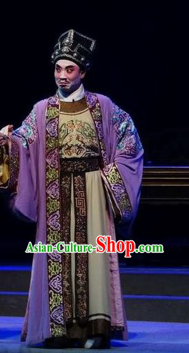 Zi Yun Chinese Guangdong Opera Rich Male Apparels Costumes and Headwear Traditional Cantonese Opera Merchant Garment Landlord Clothing