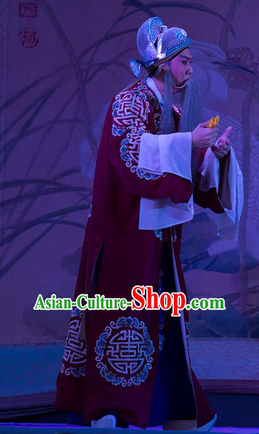 Wu Suo Dong Gong Chinese Guangdong Opera Official Apparels Costumes and Headwear Traditional Cantonese Opera Laosheng Garment Landlord Clothing