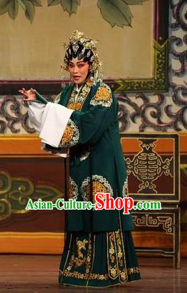 Chinese Cantonese Opera Rich Woman Garment Feng Guan Meng Costumes and Headdress Traditional Guangdong Opera Mistress Apparels Dame Dress