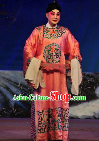 Shi Zou Yan Song Chinese Guangdong Opera Number One Scholar Hai Rui Apparels Costumes and Headwear Traditional Cantonese Opera Garment Young Male Clothing