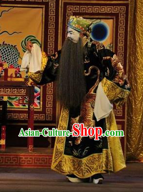 Shi Zou Yan Song Chinese Guangdong Opera Treacherous Official Apparels Costumes and Headwear Traditional Cantonese Opera Laosheng Garment Elderly Male Clothing