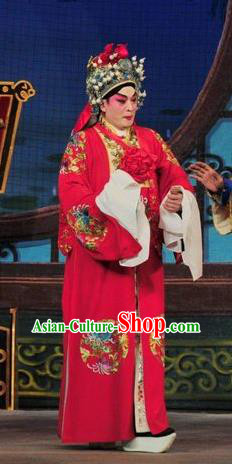 Fan Lihua Return Tang Chinese Guangdong Opera Bridegroom Xue Dingshan Apparels Costumes and Headwear Traditional Cantonese Opera Martial Male Garment Young General Clothing