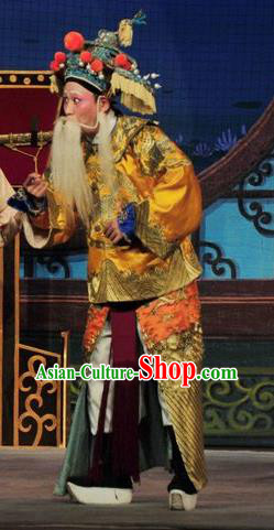 Fan Lihua Return Tang Chinese Guangdong Opera Old Man Apparels Costumes and Headwear Traditional Cantonese Opera Elderly General Garment Duke Cheng Yaojin Clothing