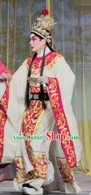 Luo Shui Qing Meng Chinese Guangdong Opera Cao Zhi Apparels Costumes and Headwear Traditional Cantonese Opera Prince Garment Young Male Clothing