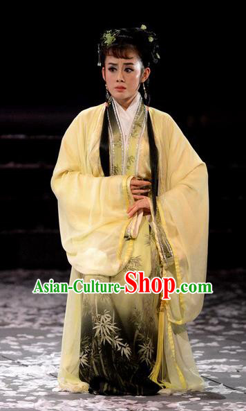 Chinese Historical Drama Phoenix Hairpin Ancient Young Mistress Garment Costumes Traditional Actress Dress Noble Woman Tang Wan Apparels and Headdress