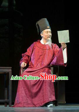 Chinese Traditional Ming Dynasty Official Xu Jie Clothing Stage Performance Historical Drama Apparels Elderly Male Costumes Ancient Minister Garment and Headwear