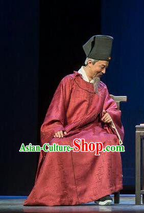 Chinese Traditional Ming Dynasty Official Xu Jie Clothing Stage Performance Historical Drama Da Song Yu Shi Apparels Elderly Male Costumes Ancient Minister Garment and Headwear