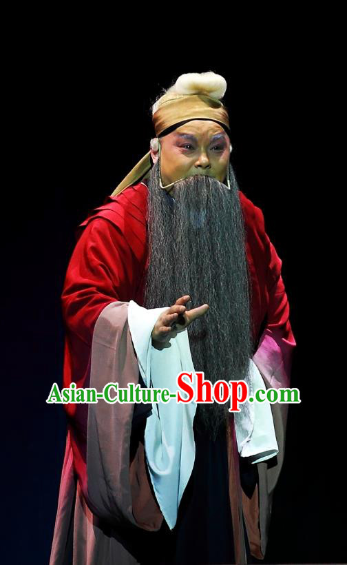 Cao Min Song Shijie Chinese Sichuan Opera Elderly Male Apparels Costumes and Headpieces Peking Opera Highlights Garment Old Scholar Clothing