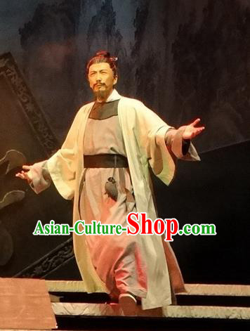 Chinese Traditional Song Dynasty Provincial Governor Clothing Stage Performance Historical Drama Han Wengong Apparels Costumes Ancient Scholar Han Yu Garment and Headwear