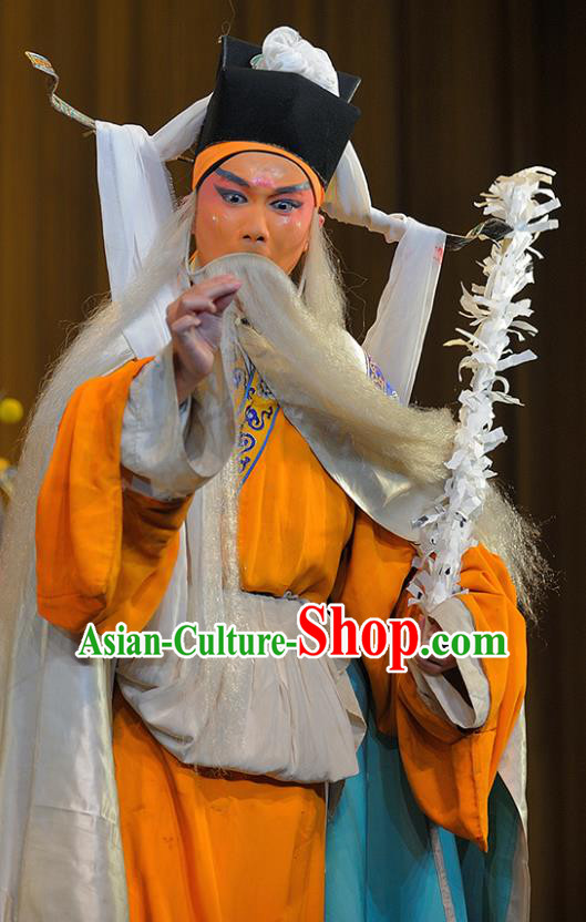 Sui Chao Luan Chinese Sichuan Opera Laosheng Apparels Costumes and Headpieces Peking Opera Highlights Garment Elderly Male Wu Jianzhang Clothing