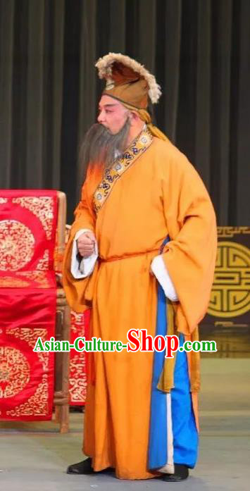 San Qiao Gua Hua Chinese Sichuan Opera Elderly Male Apparels Costumes and Headpieces Peking Opera Highlights Laosheng Garment Landlord Clothing