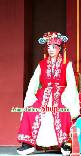 Chu Bei Sai Chinese Sichuan Opera Young Male Wang Long Apparels Costumes and Headpieces Peking Opera Highlights Garment Scholar Clothing
