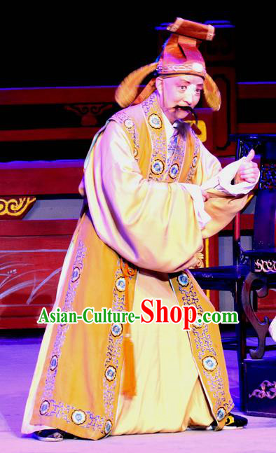 Fu Gui Rong Hua Chinese Sichuan Opera Landlord Apparels Costumes and Headpieces Peking Opera Highlights Elderly Male Garment Clown Clothing