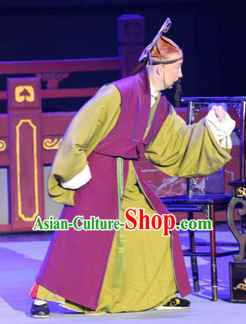 Fu Gui Rong Hua Chinese Sichuan Opera Laosheng Apparels Costumes and Headpieces Peking Opera Highlights Elderly Male Garment Clothing