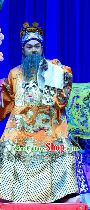 Bei Mang Mountain Chinese Sichuan Opera Lord Apparels Costumes and Headpieces Peking Opera Highlights Elderly Male Garment Emperor Zhouxiang Clothing