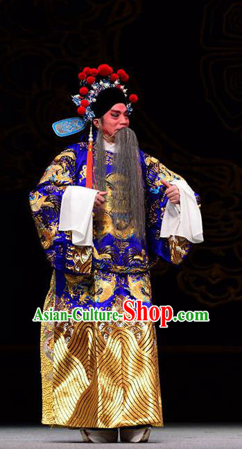 Dan Dao Hui Chinese Sichuan Opera Laosheng Apparels Costumes and Headpieces Peking Opera Highlights Elderly Male Garment Official Lu Su Clothing
