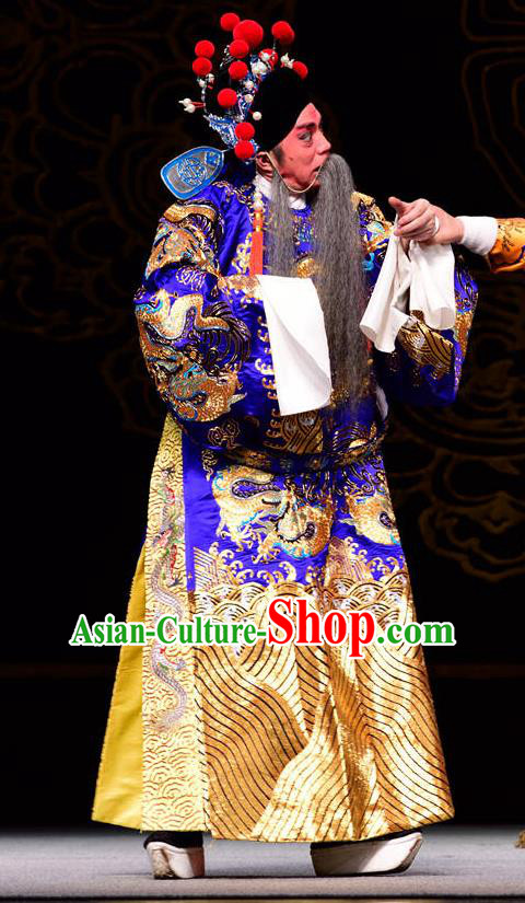 Dan Dao Hui Chinese Sichuan Opera Laosheng Apparels Costumes and Headpieces Peking Opera Highlights Elderly Male Garment Official Lu Su Clothing