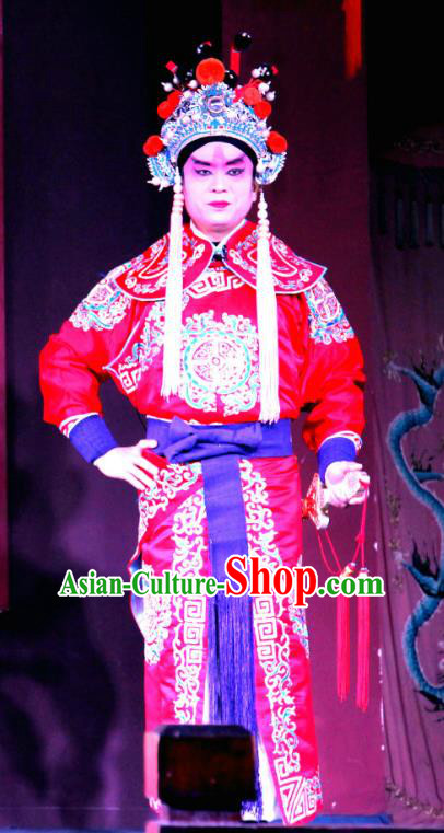 Pan Diao Chinese Sichuan Opera Martial Male Apparels Costumes and Headpieces Peking Opera Highlights Wusheng Garment Lv Bu Clothing