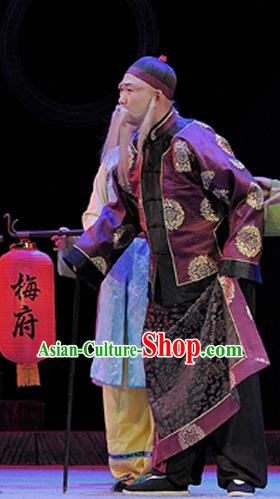 Legend of Chen Mapo Chinese Sichuan Opera Old Man Apparels Costumes and Headpieces Peking Opera Highlights Landlord Garment Patriarch Clothing