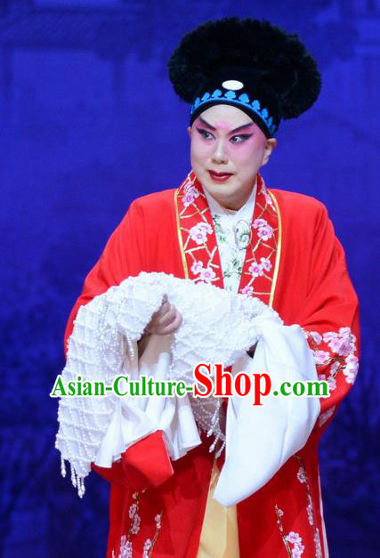 Zhen Zhu Shan Chinese Bangzi Opera Merchant Jiang Xing Apparels Costumes and Headpieces Traditional Hebei Clapper Opera Young Male Garment Clothing