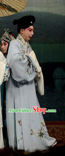 Madam White Snake Chinese Bangzi Opera Scholar Xu Xian Apparels Costumes and Headpieces Traditional Hebei Clapper Opera Xiaosheng Garment Young Male Clothing
