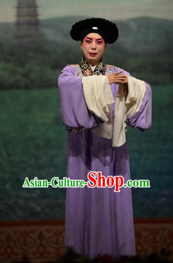 Madam White Snake Chinese Bangzi Opera Young Male Apparels Costumes and Headpieces Traditional Hebei Clapper Opera Xiaosheng Garment Scholar Xu Xian Clothing