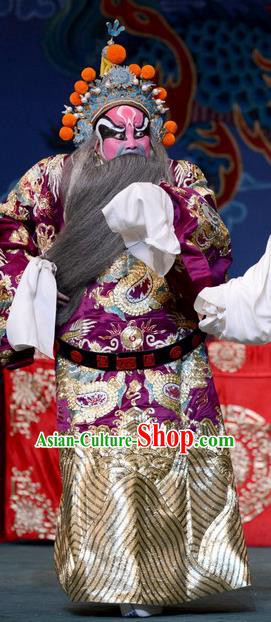 The Butterfly Chalice Chinese Bangzi Opera Painted Role Apparels Costumes and Headpieces Traditional Hebei Clapper Opera Garment Commander Lu Lin Clothing