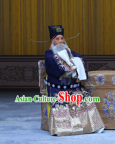 In Extremely Good Fortune Chinese Bangzi Opera Official Qiao Xuan Apparels Costumes and Headpieces Traditional Hebei Clapper Opera Laosheng Garment Elderly Male Clothing