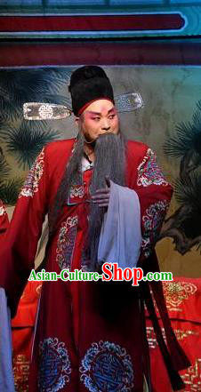 The Pearl Pagoda Chinese Bangzi Opera Laosheng Apparels Costumes and Headpieces Traditional Shanxi Clapper Opera Elderly Male Garment Landlord Chen Peide Clothing