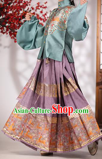 Ancient China Young Mistress Hanfu Dress Traditional Ming Dynasty Noble Woman Historical Clothing