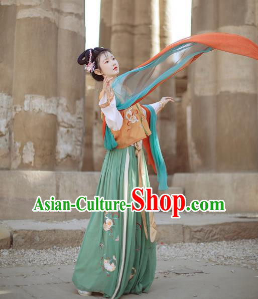 China Ancient Palace Beauty Clothing Traditional Tang Dynasty Embroidered Historical Costume