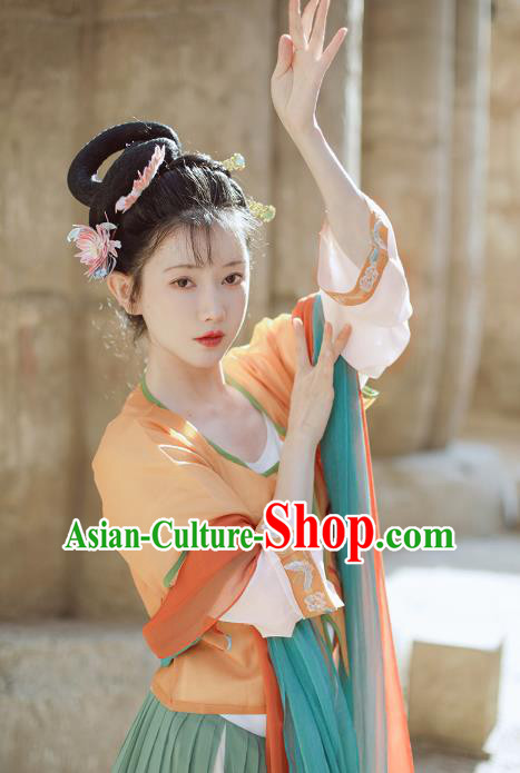 China Ancient Palace Beauty Clothing Traditional Tang Dynasty Embroidered Historical Costume