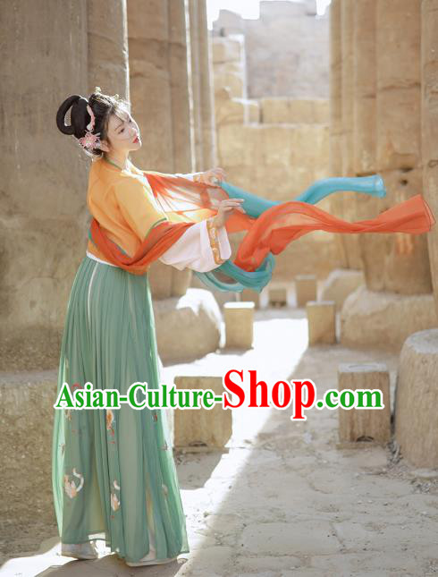 China Ancient Palace Beauty Clothing Traditional Tang Dynasty Embroidered Historical Costume