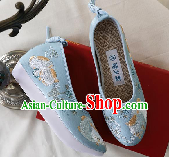 Chinese Ancient Princess Shoes Embroidered Blue Shoes Traditional Ming Dynasty Shoes