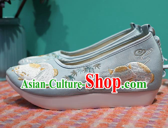 Chinese Ancient Princess Shoes Embroidered Blue Shoes Traditional Ming Dynasty Shoes