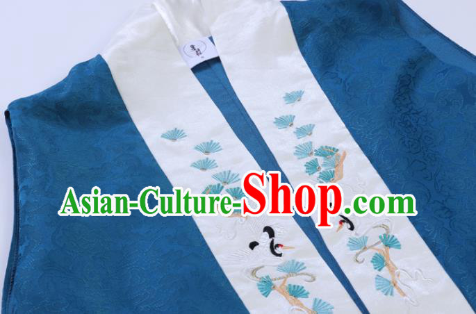 China Traditional Embroidered Hanfu Dress Court Concubine Clothing Ancient Ming Dynasty Historical Costumes