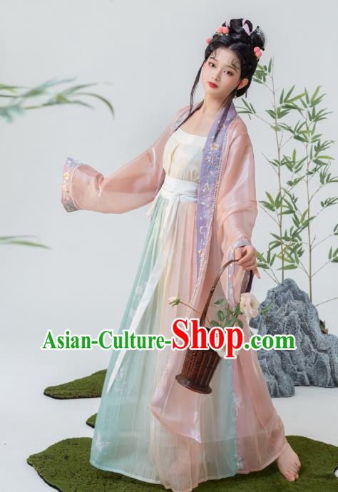 Traditional China Song Dynasty Young Lady Historical Clothing Ancient Noble Woman Hanfu Dresses
