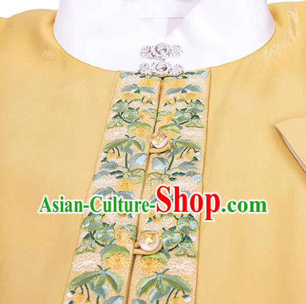 China Traditional Ming Dynasty Young Lady Historical Clothing Ancient Patrician Beauty Winter Hanfu Costume
