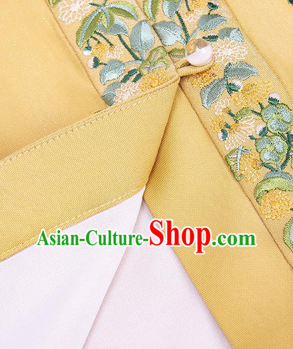 China Traditional Ming Dynasty Young Lady Historical Clothing Ancient Patrician Beauty Winter Hanfu Costume