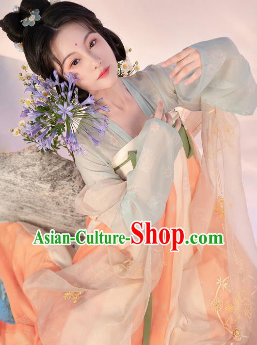 China Ancient Court Lady Hanfu Dress Apparels Traditional Tang Dynasty Historical Clothing